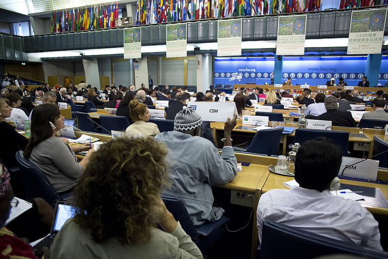 Civil society interjection during the CFS plenary Photo ©FAO/Alessia Pierdomenico