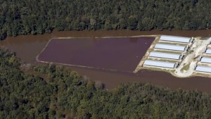 Flooded hog manure lagoon in North Carolina after Hurricane Matthew