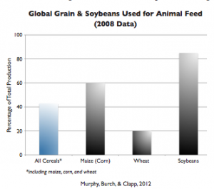 Global grain and soybeans used for animal feed in 2008