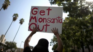 Argentinians protest Monsanto, credit: RT News https://www.rt.com/news/monsanto-argentina-health-problems-484/